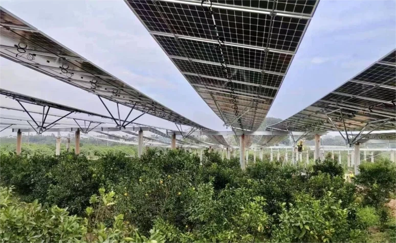 image - 2025-11-17T101226796